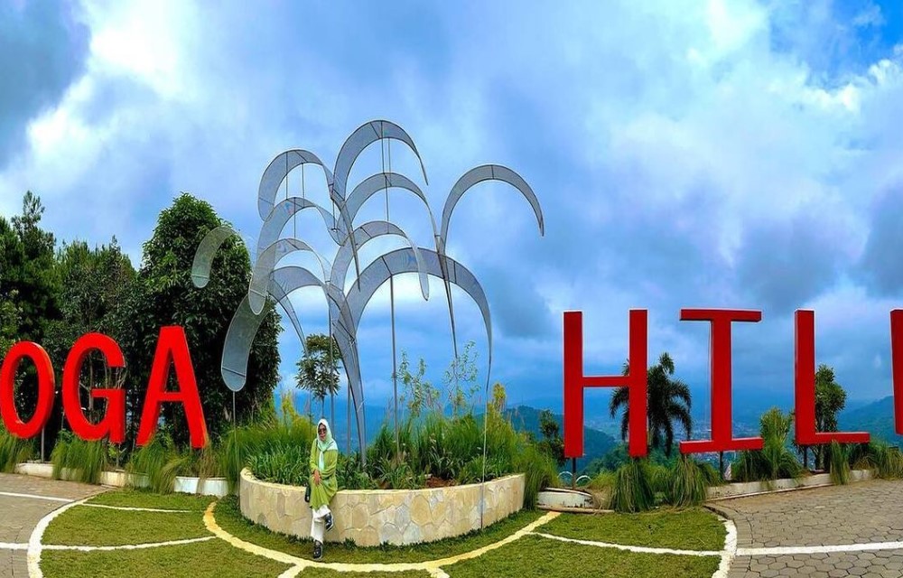 Attraction Picture